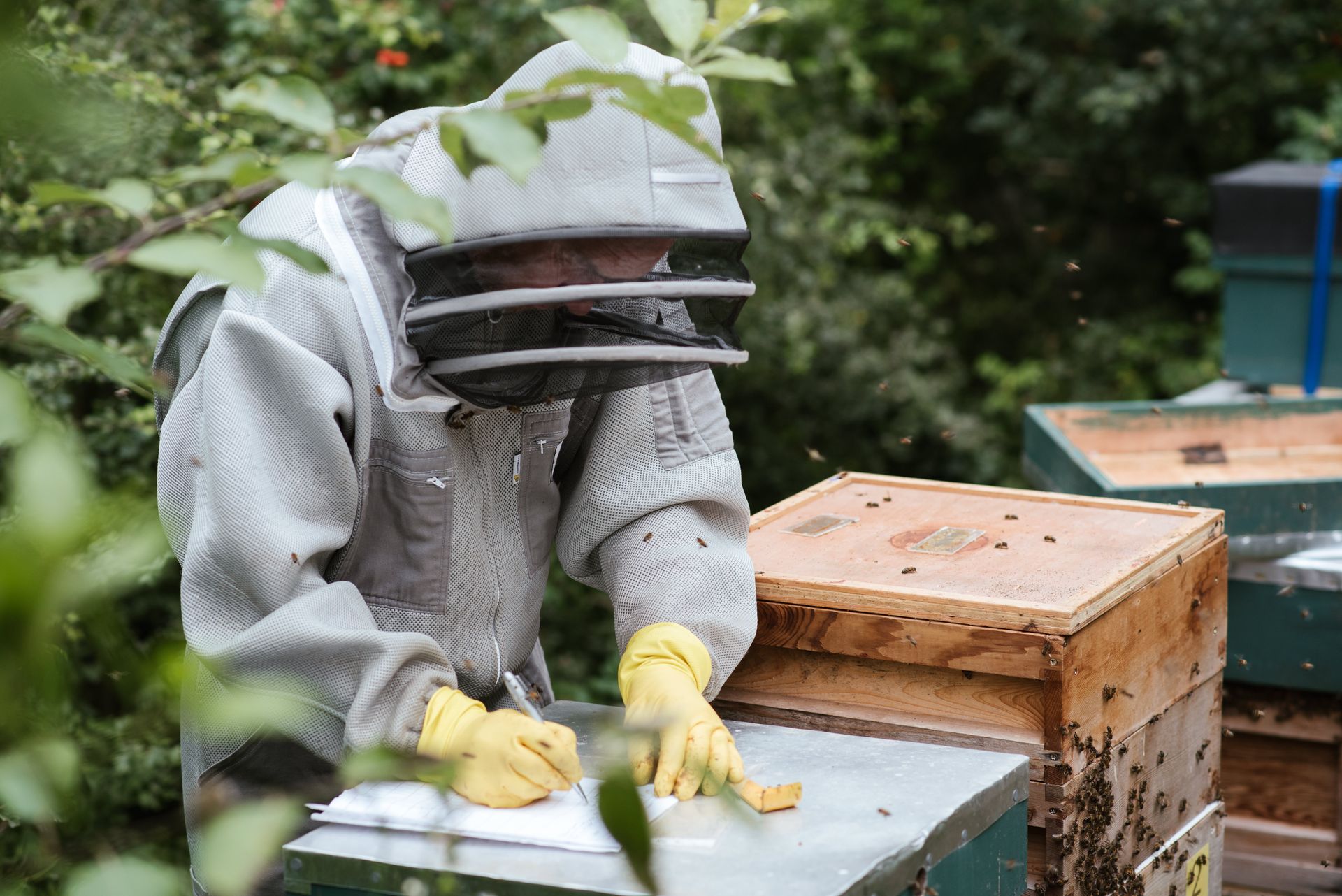 Unrecognizable farmer taking notes in apiary