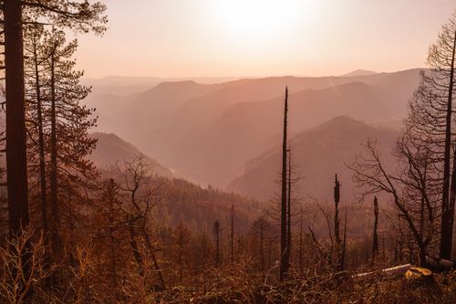 Free Majestic view of Yosemite Valley with mountains and trees under a golden sunset. Stock Photo