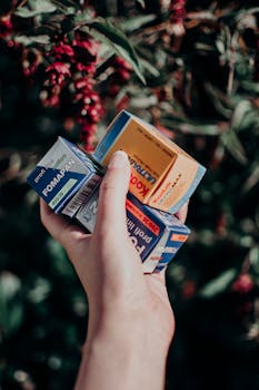 自然背景中，一个人的手拿着各种35毫米胶片盒，周围有叶子和红色浆果