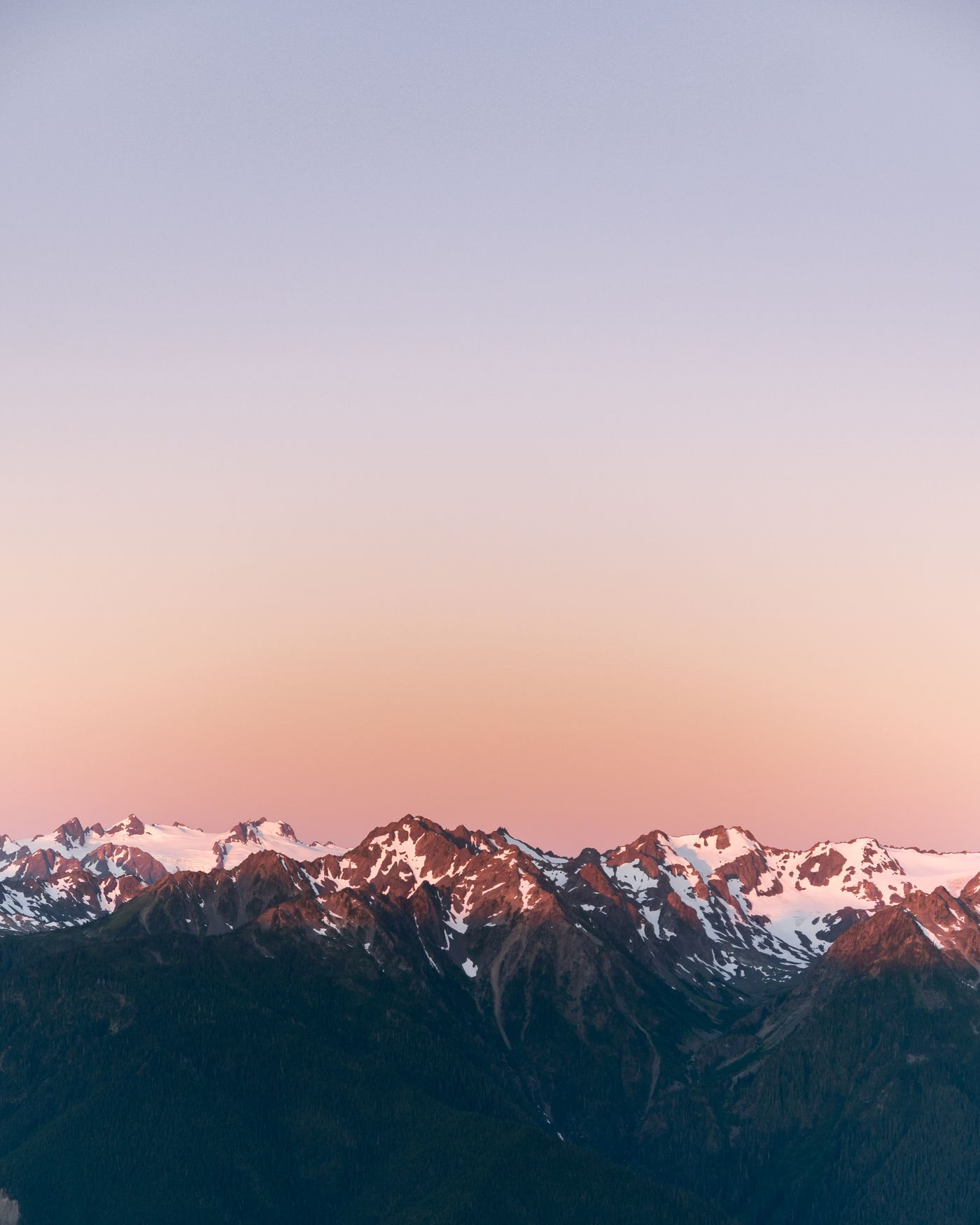 Snow-capped Olympic Mountain peaks glowing under alpenglow sky, viewed from Hurricane Ridge at 5,242 feet
