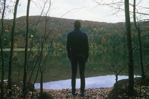 Základová fotografie zdarma na téma břeh jezera, černá bunda, hora