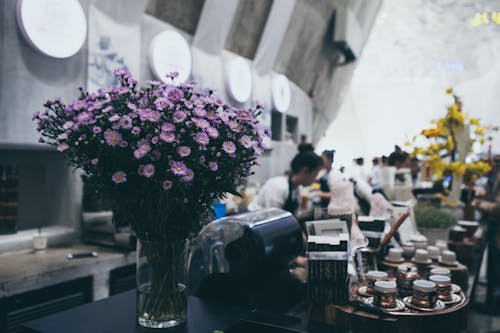 Immagine gratuita di bancone, business, fiori viola