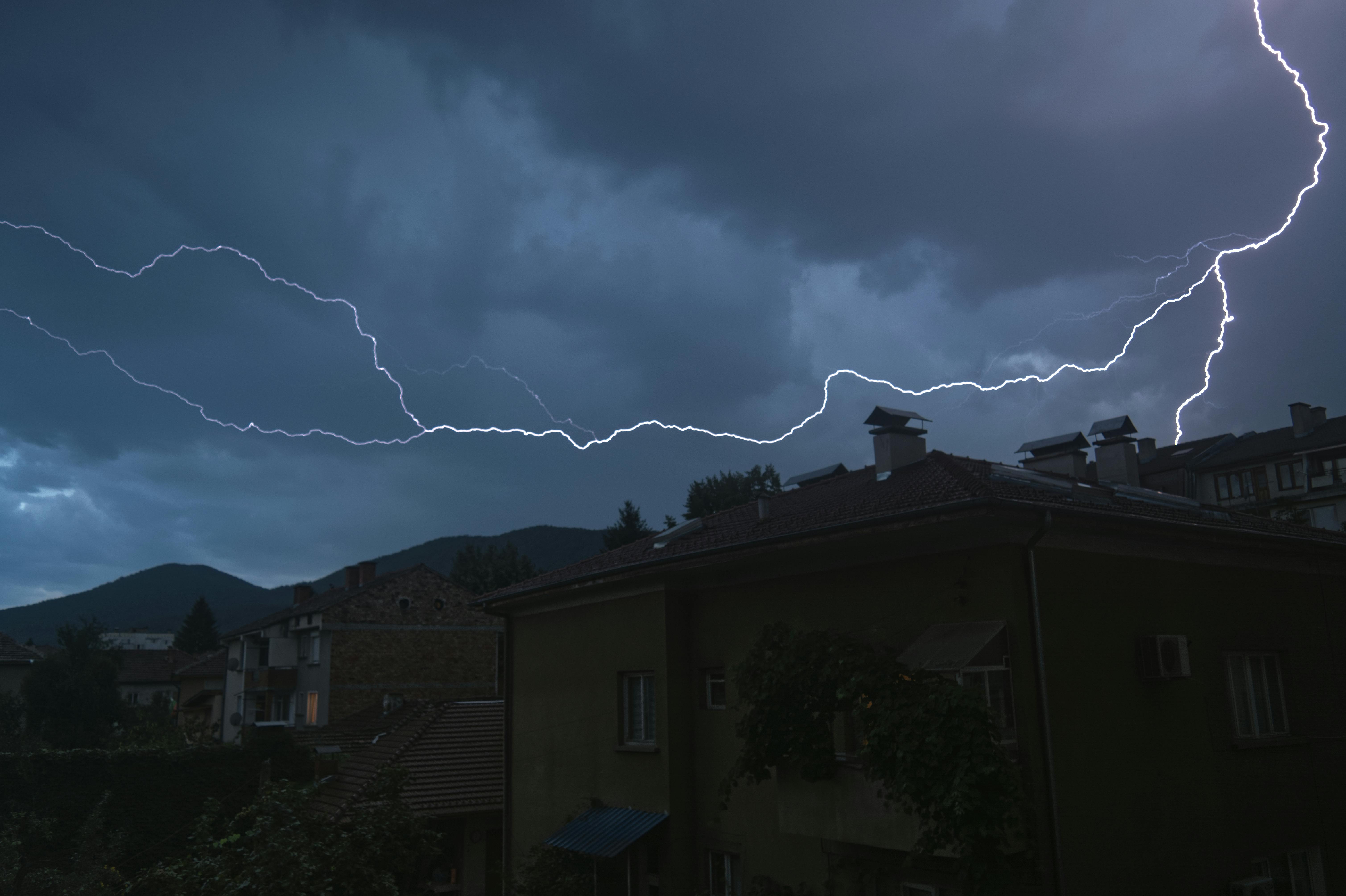 Who is faster bolt or cheetah?