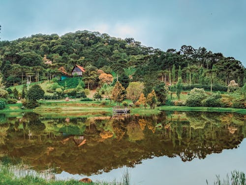 Gratis lagerfoto af baggrund, grøn, landsby