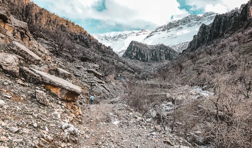 Snow Covered Mountain