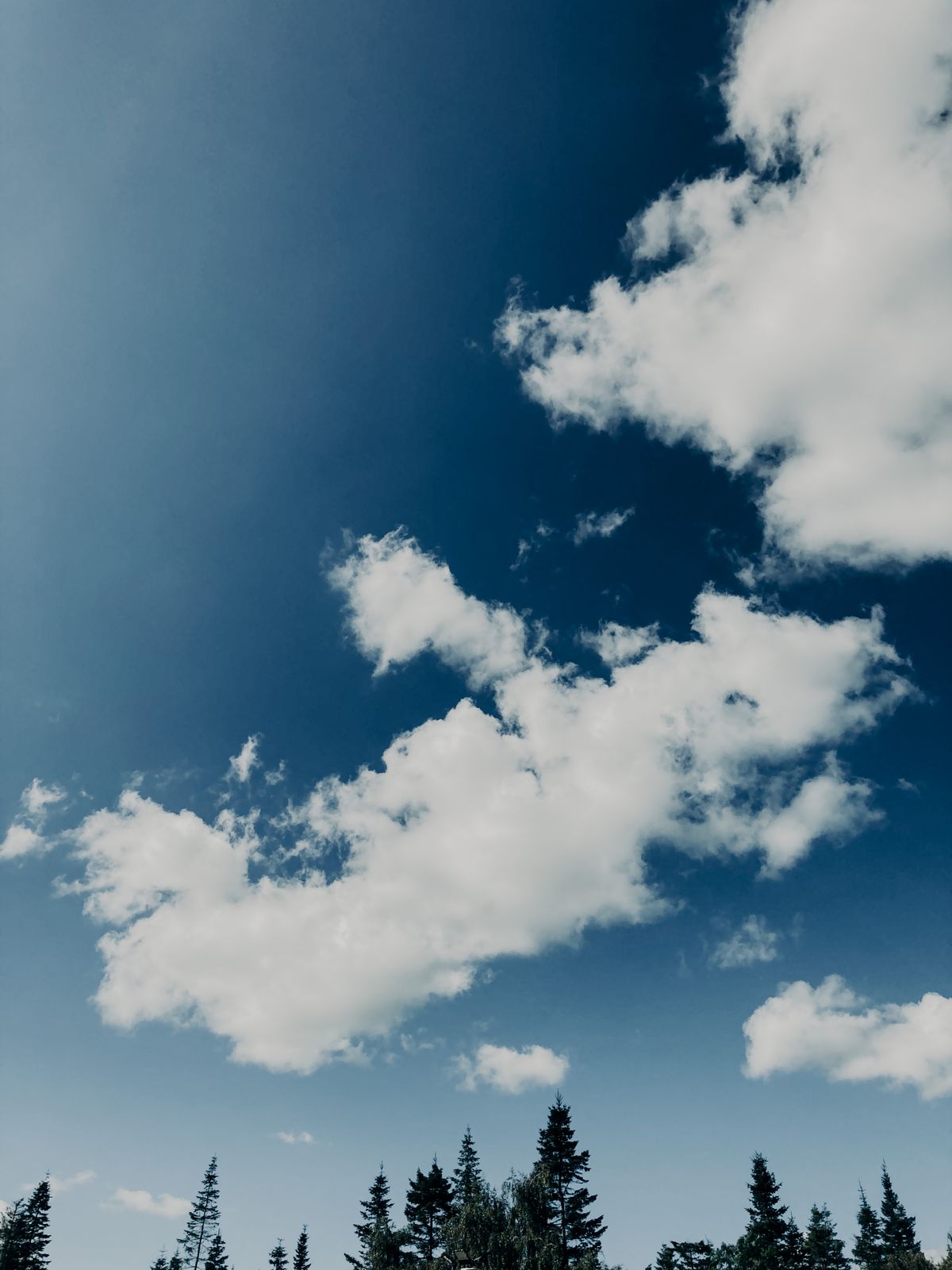 夏の青空と雲
