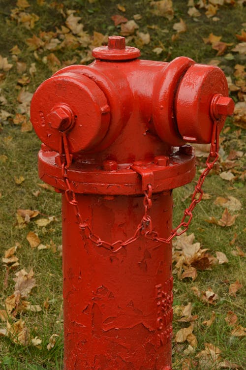 Free Red Fire Hydrant Stock Photo
