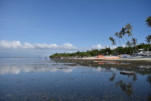 Peaceful sea with sandy beach and palm trees