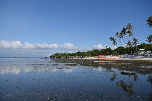 Seaweed growing in calm ocean water near sandy coast during low tide in tropical resort on sunny day - Fotografer Sidoarjo