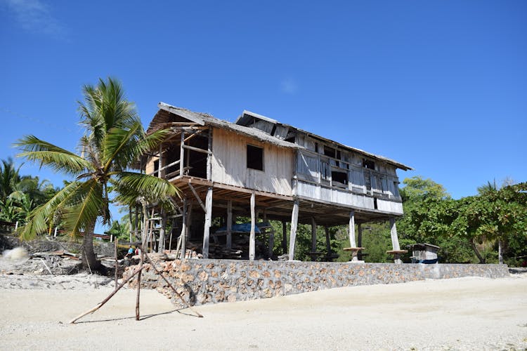 Weathered Beach House Near Lush Vegetation On Sunny Day