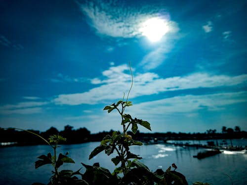 Kostenloses Stock Foto zu blauer himmel, fließenden fluss, grün