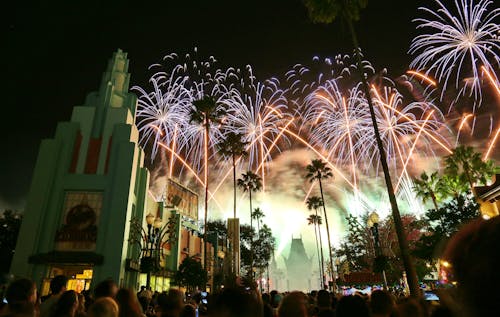 디즈니, 밤, 불꽃놀이의 무료 스톡 사진