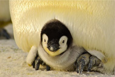 Stop breaking your home server and start using Proxmox instead