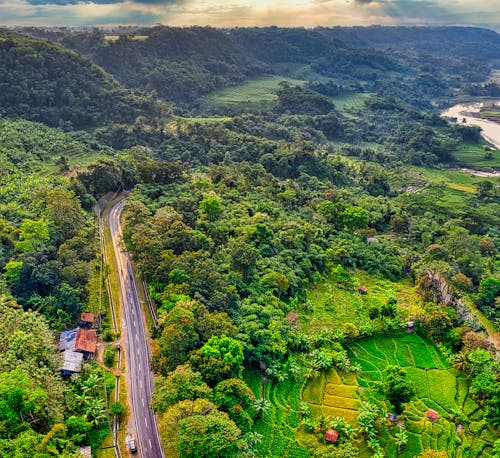 农业领域, 印尼, 景觀 的 免费素材图片