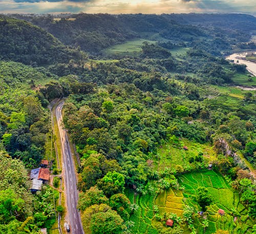 A Vast Agricultural Landscape