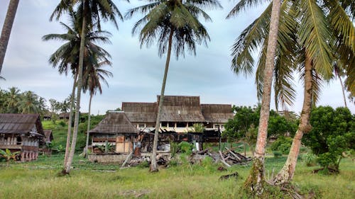 Village among Palm Trees