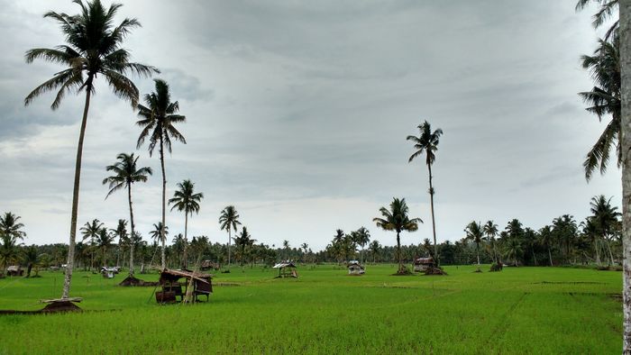 Kegiatan desa