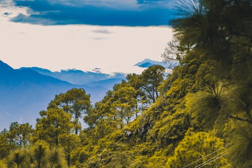 Free stock photo of adventure, beauty, hiking