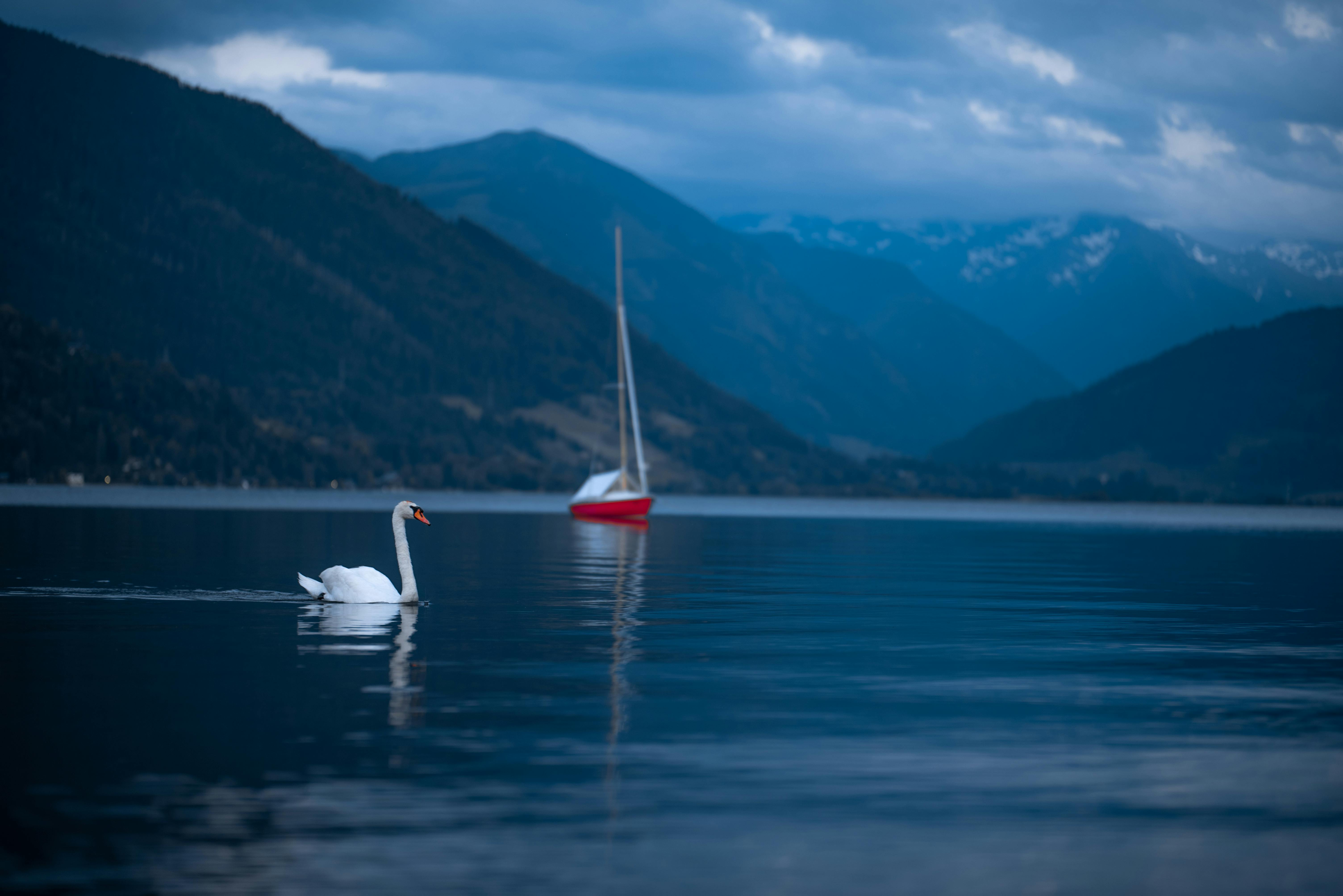 Eco-Friendly Sailing Tips for Every Boat Owner