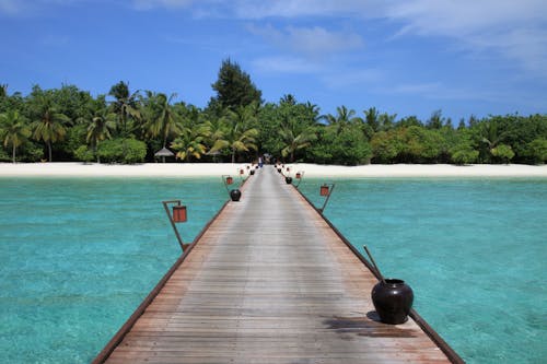 Brown Wooden Dock on the Beach