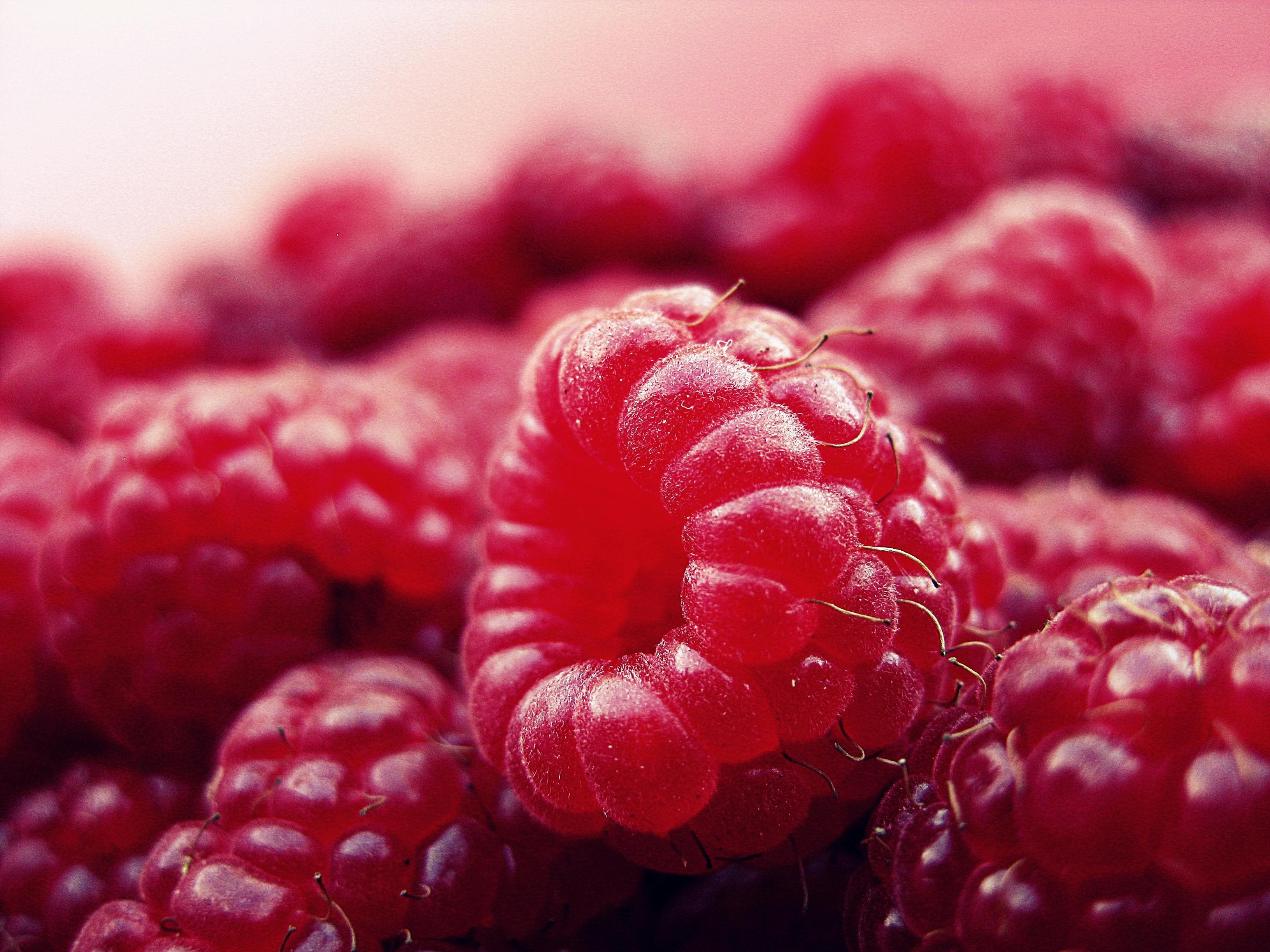 Red Raspberry · Free Stock Photo