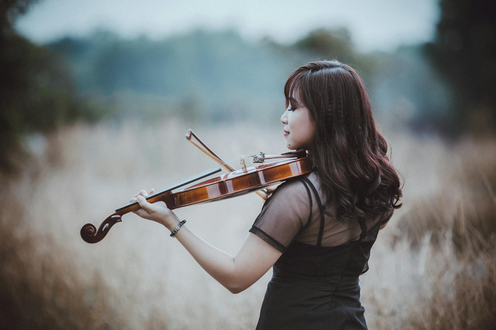 Best Violin String Brands You Should Know Harmonium Music