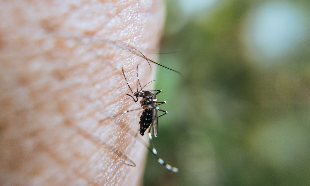 tropical mosquito warning protection repellent