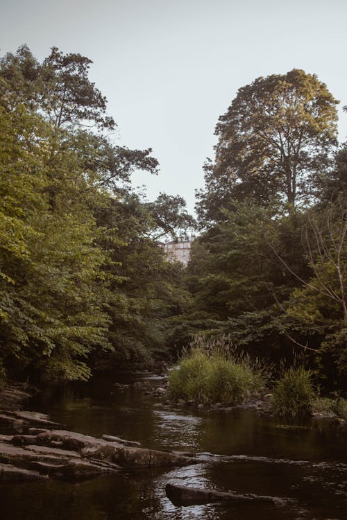 Foto stok gratis aliran sungai, edinburgh, keindahan alam