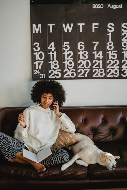 Free Full body of young African American female with curly hair in casual clothes talking on smartphone and reading notebook while sitting on comfortable couch near sleeping cute dog Stock Photo