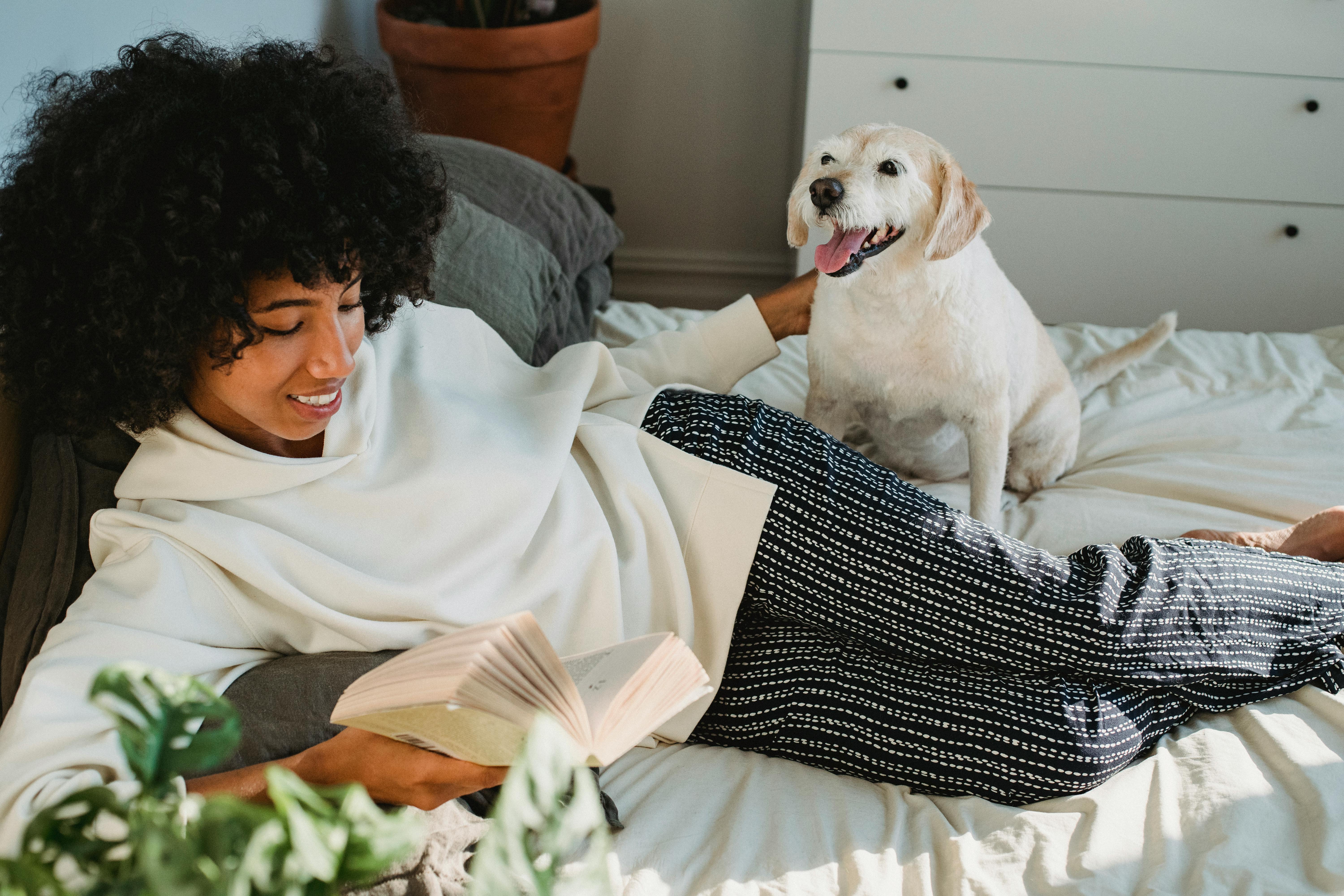 smiling young black woman caressing dog while resting on bed and reading book