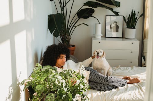 From above of young ethnic female with Afro hair stroking obedient dog while lying on bed and reading interesting novel during weekend at home