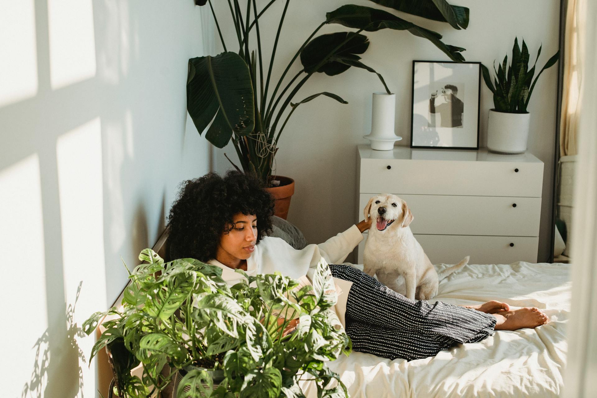 From above of young ethnic female with Afro hair stroking obedient dog while lying on bed and reading interesting novel during weekend at home