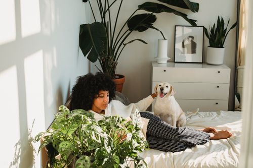 Free From above of young ethnic female with Afro hair stroking obedient dog while lying on bed and reading interesting novel during weekend at home Stock Photo