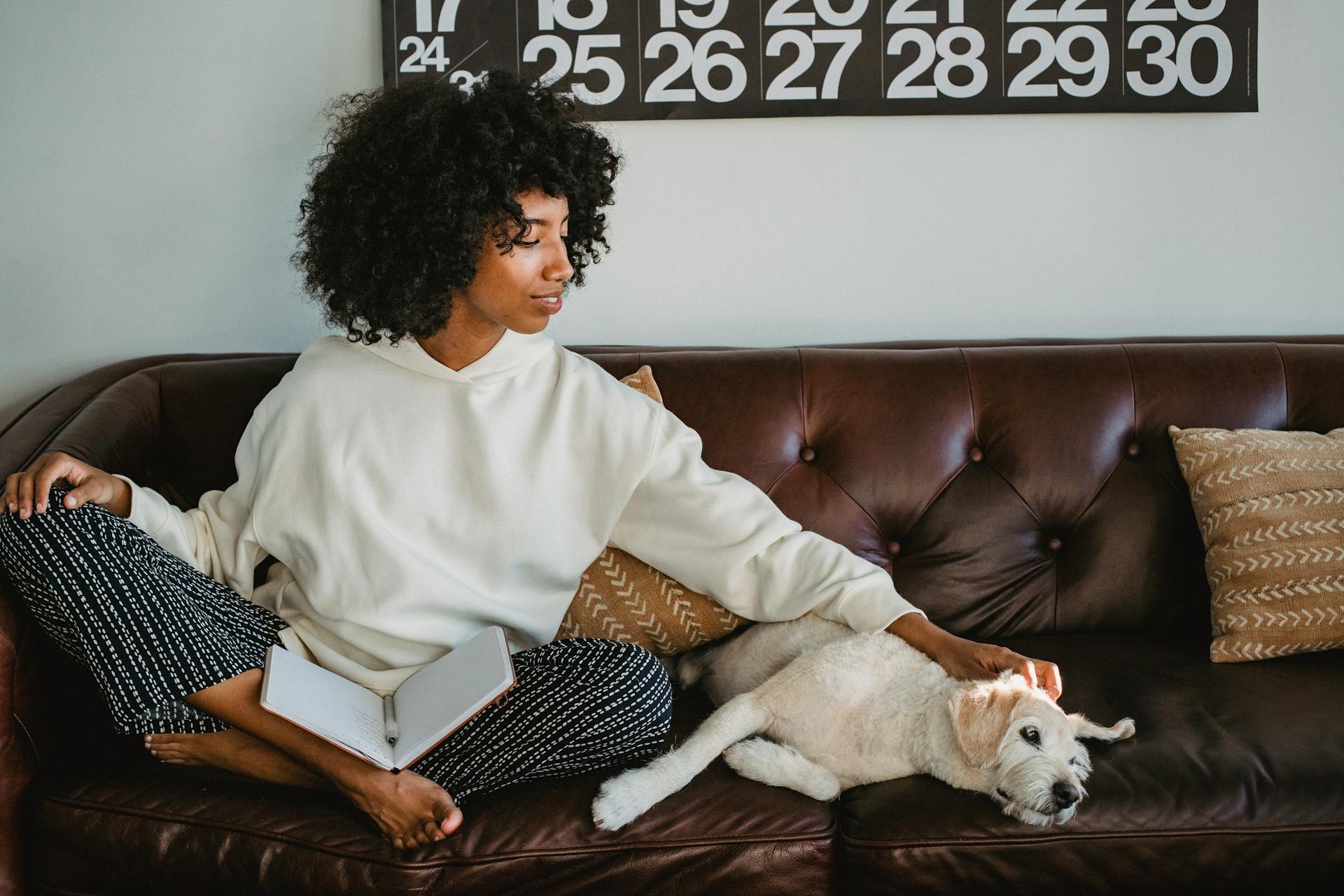 Stylish young ethnic lady reading notes and stroking cute dog on couch