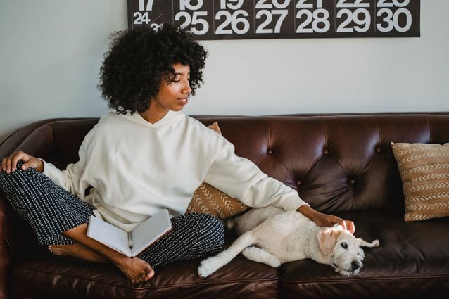 Can Dogs Learn to Google Feud Answers? [Comprehensive Answer] - Nahf