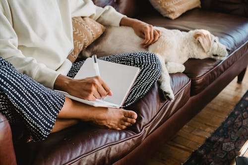 Faceless young female freelancer taking notes while sitting on couch with dog