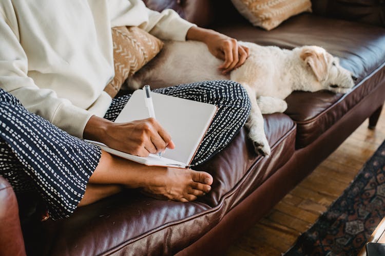 Faceless Young Female Freelancer Taking Notes While Sitting On Couch With Dog