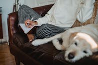 从高角度无法辨认作物，一名赤脚女性自由职业者坐在睡狗旁边的软沙发上，在笔记本上写作