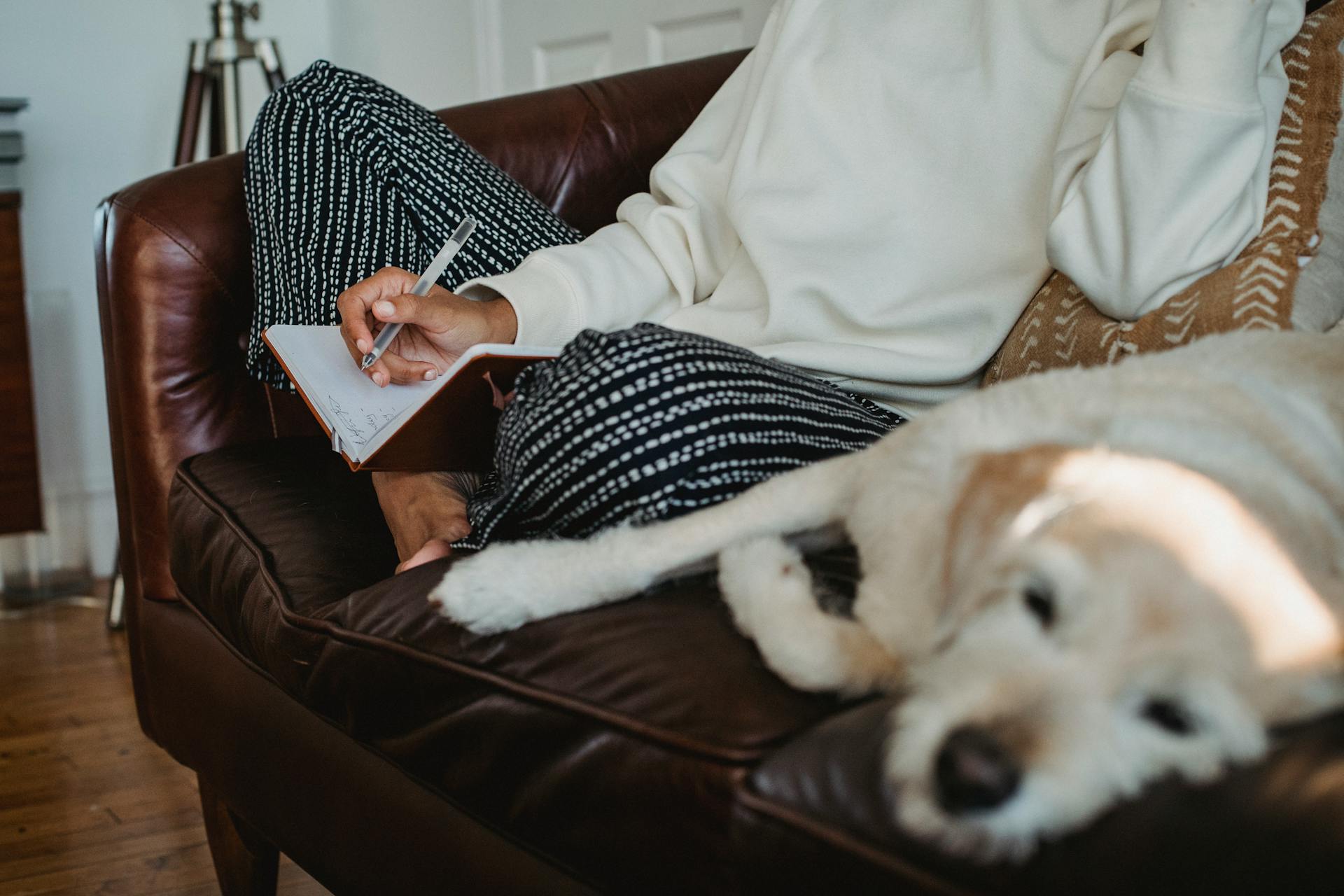 High angle of crop unrecognizable barefooted female freelancer writing in notebook while sitting on soft couch near sleeping dog