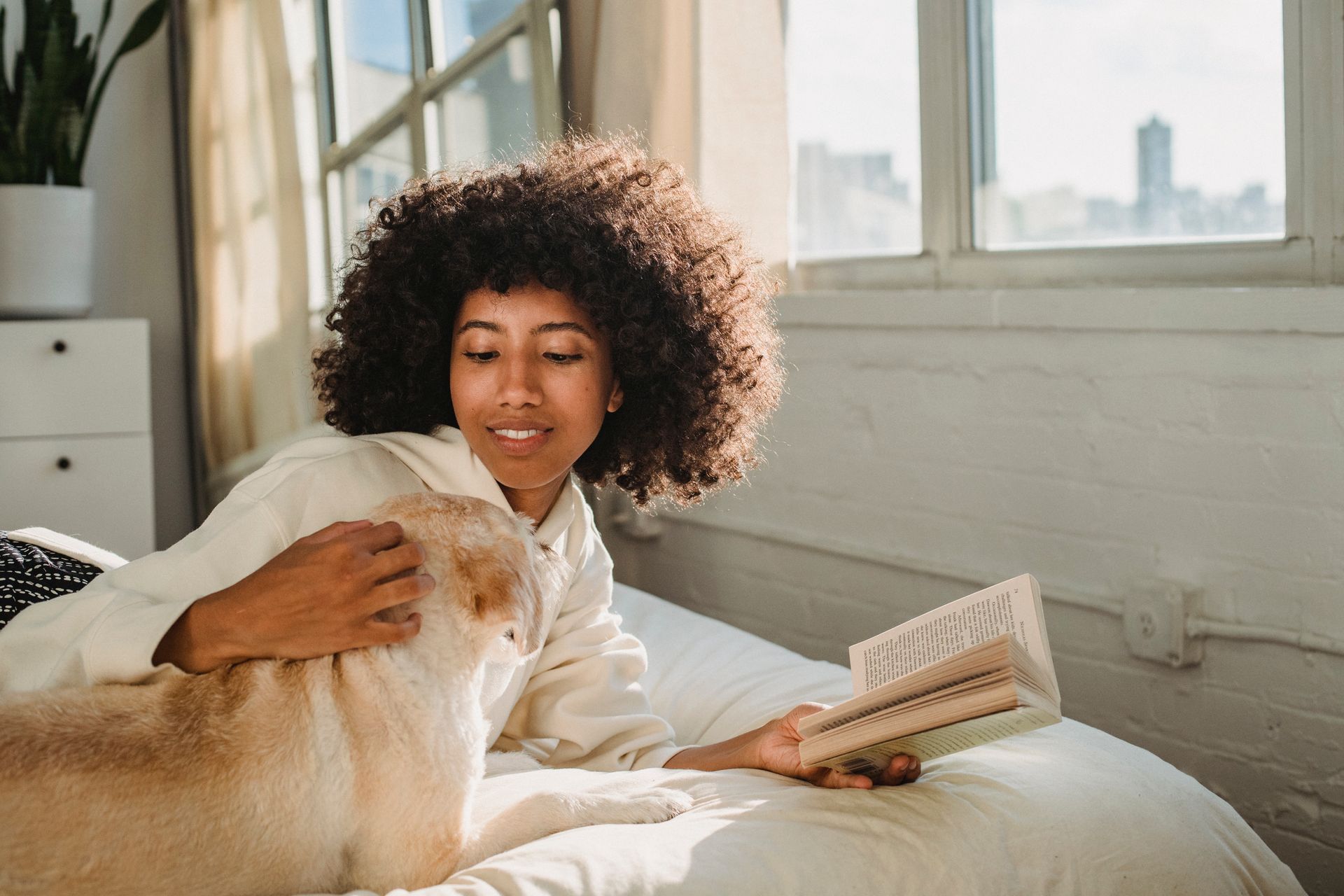 Side view of happy young African American woman with curly hair lying on bed and stroking adorable dog while reading book on sunny day