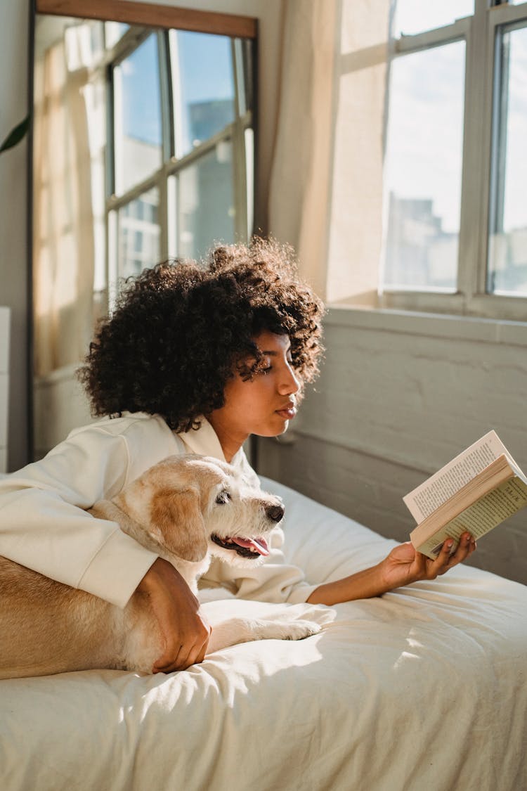 Concentrated Young Black Woman Cuddling Curious Obedient Dog While Reading Book Ob Bed