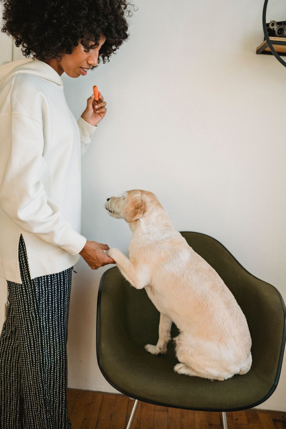 Woman reward-training a young dog indoors with a treat