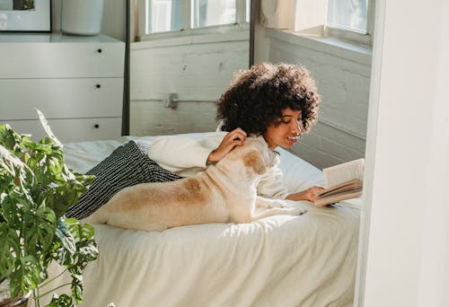 Side view of cheerful black female owner reading book while stroking Labrador Retriever dog lying on soft bed