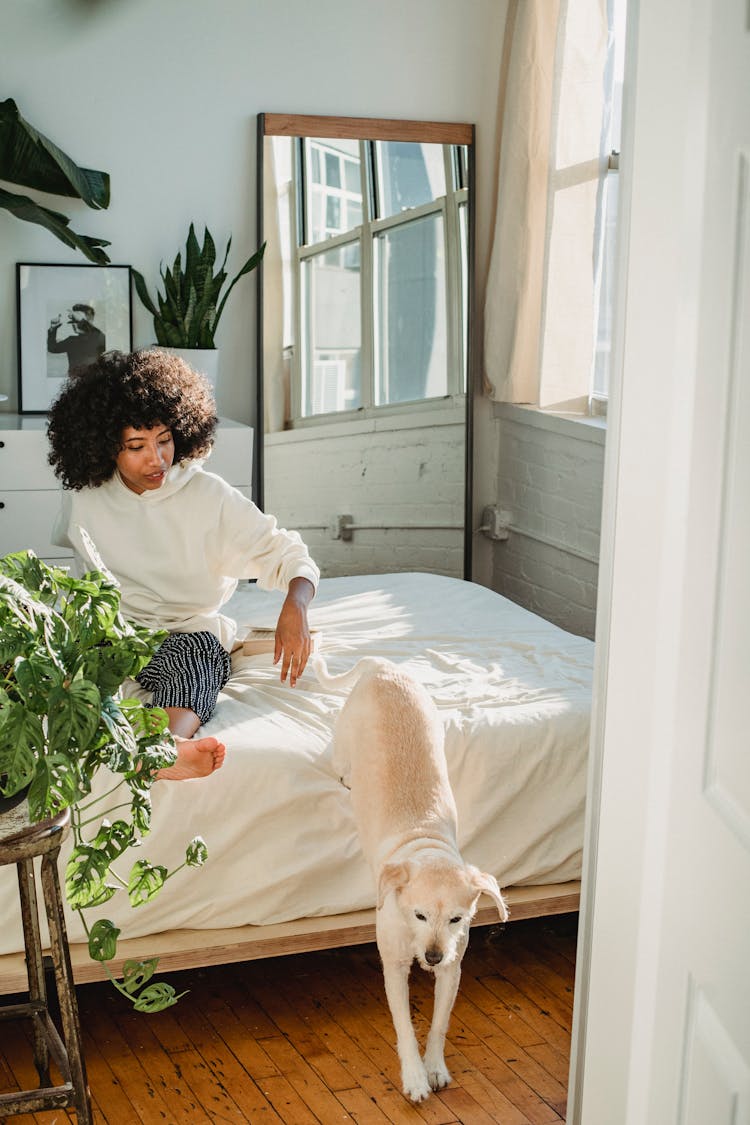 Black Woman Resting On Bed With Dog In Cozy Bedroom