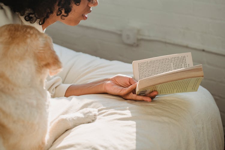 Woman Reading A Book In Bed With Her Dog