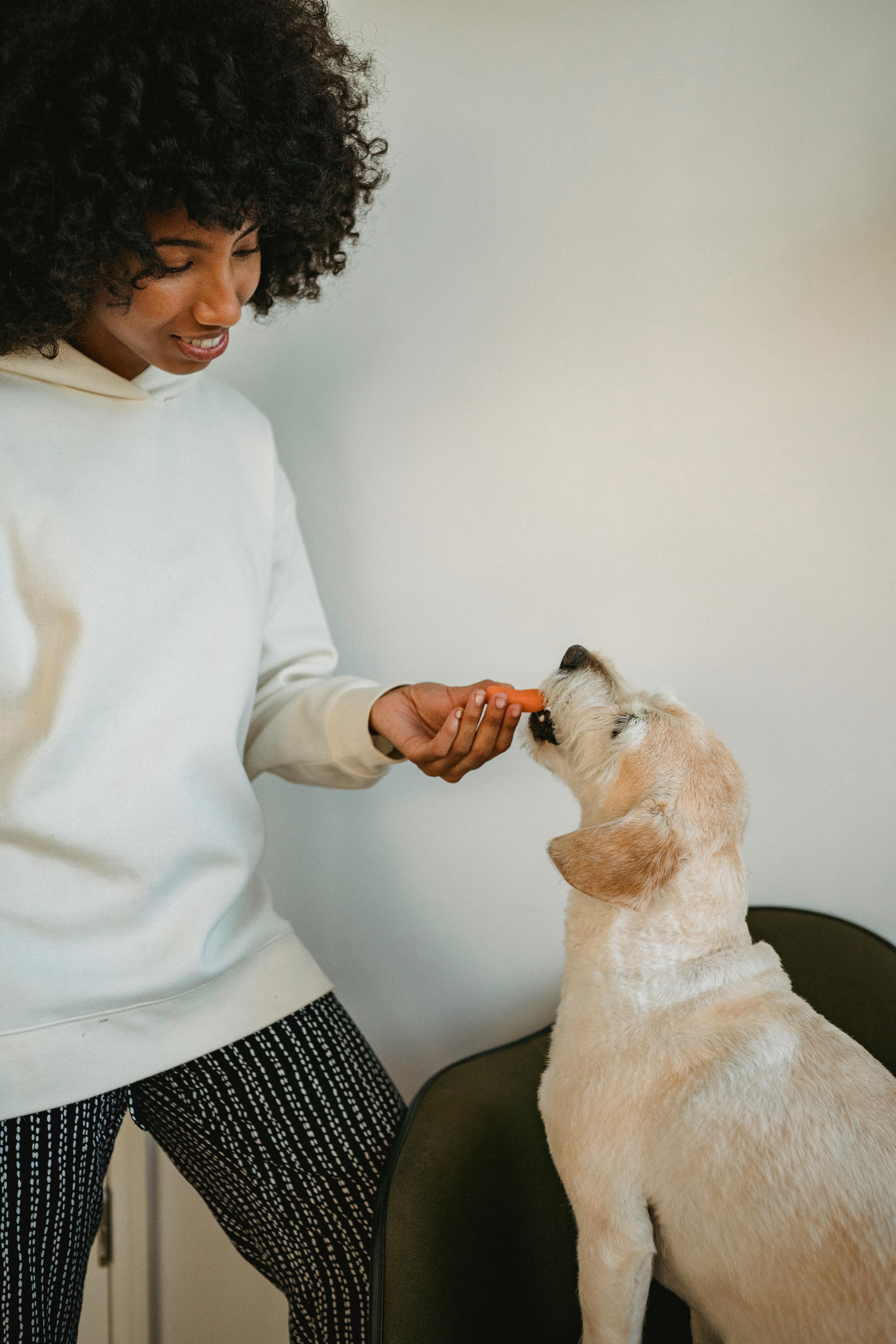 woman feeding a dog