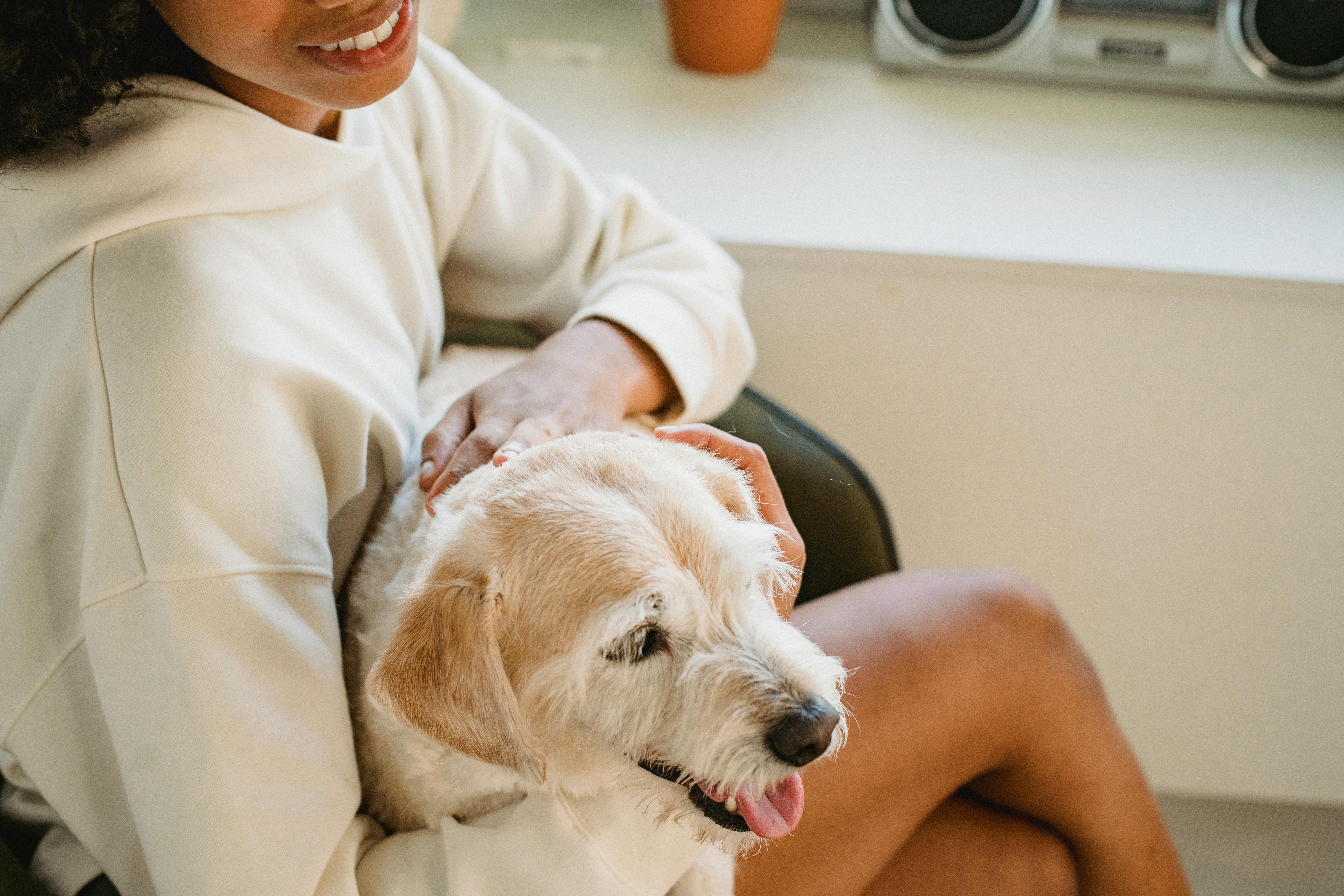 happy black woman embracing and petting purebred puppy