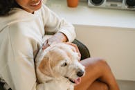 一位快乐的女士在舒适的室内，抚摸着她毛茸茸的狗，画面温暖而充满陪伴感