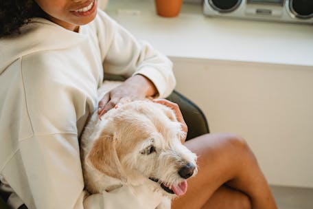 A joyful woman caresses her fluffy dog in a cozy indoor setting, showcasing warmth and companionship.