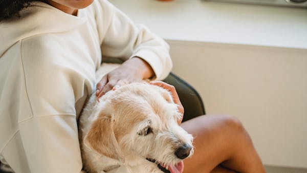 A joyful woman caresses her fluffy dog in a cozy indoor setting, showcasing warmth and companionship.
